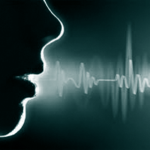 Voice Processing Broadcast Partners